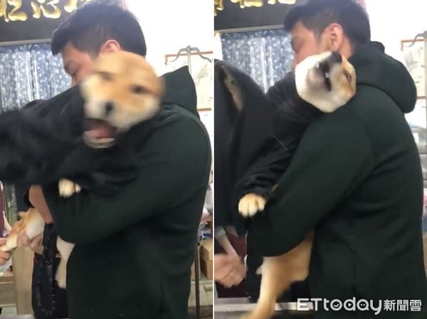 火狐电竞