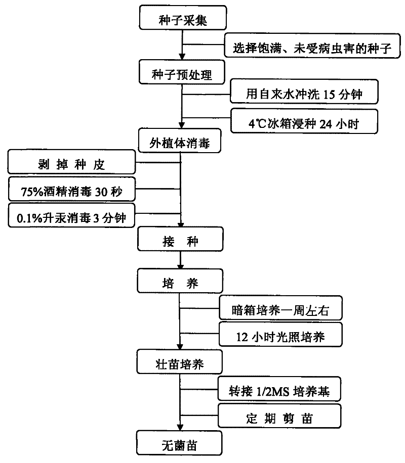 火狐电竞官网