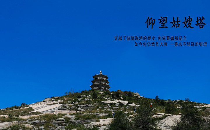 火狐电竞官网