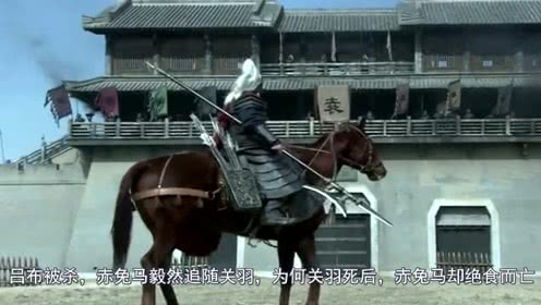 “火狐电竞官网”沃尔夫斯堡推出“Vielfalt”特别版球衣(图3) 火狐电竞