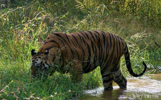 火狐电竞|刘洪郡:由陈传席教授的《人文之源》所想(图3) 火狐电竞官网