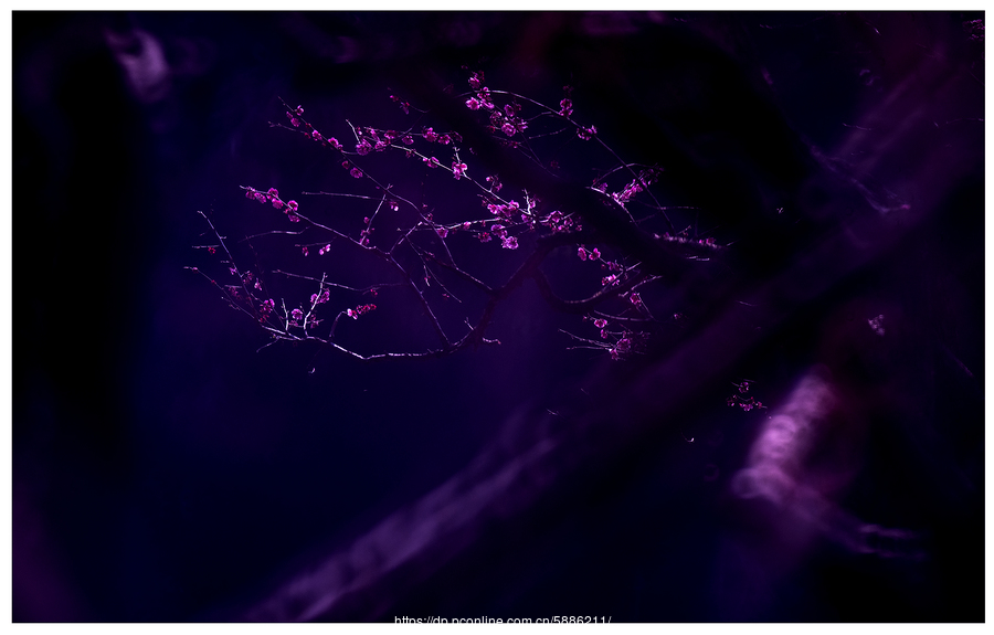 火狐电竞:
<h1>艺考腐败案为何屡屡发生?(图2) 火狐电竞官网