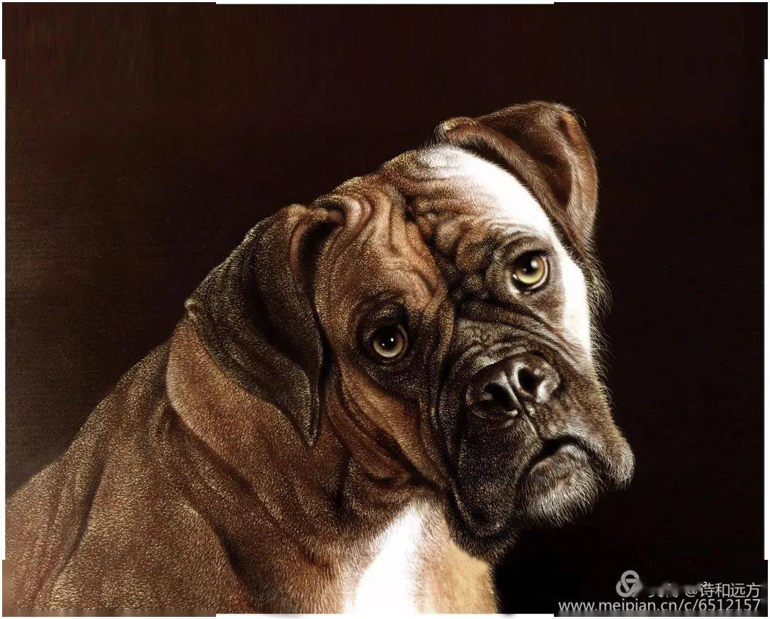 火狐电竞官网：
2021年第七届公益烙画艺术作品展已启动(图6)