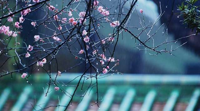 日本又一球星加盟西联赛 中日足球一数字1比6 真令人汗颜-火狐电竞官网(图2) 火狐电竞官方网站