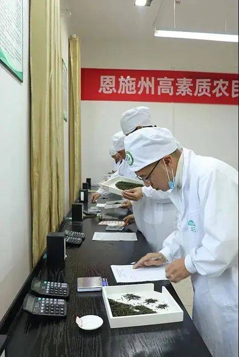 
恩施州：职业技术品级认定事情深入推进‘火狐电竞官网’(图5)