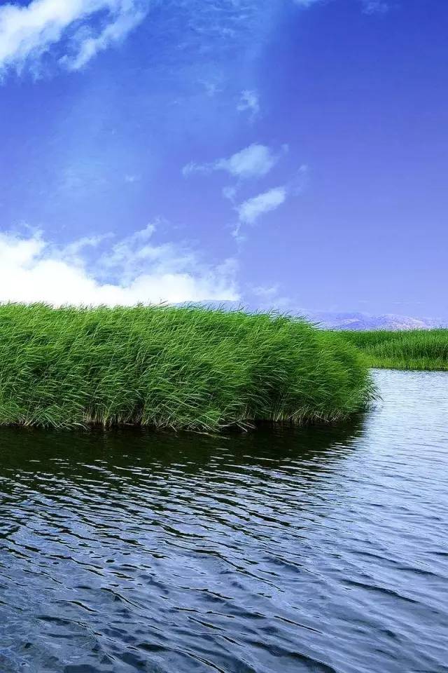 专家王蔚波点评:郑州大河村遗址及白衣彩陶盆“火狐电竞”(图1) 火狐电竞