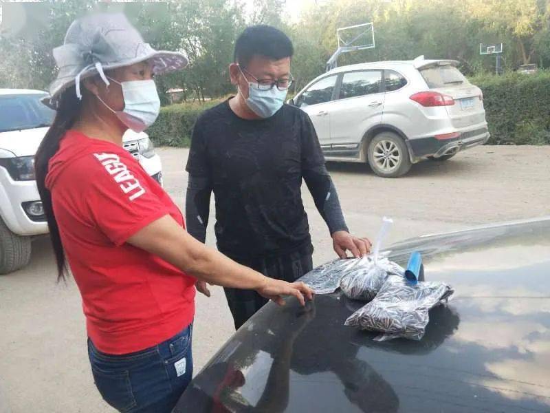 
师市农产物销售专班当“红娘”  为10万亩食葵打开销路【火狐电竞官网】(图4)