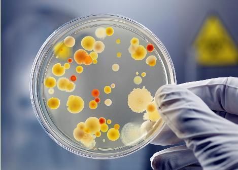 火狐电竞官方网站