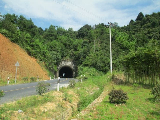 火狐电竞官方网站