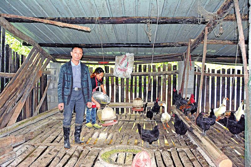 火狐电竞官方网站