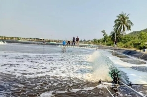 火狐电竞官方网站:韩媒:中国足球毁于赌球 球迷热情之高世界难有(图2) 火狐电竞官网