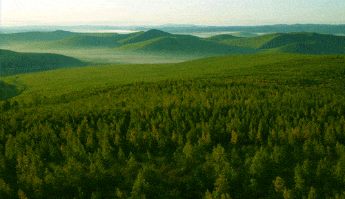 “火狐电竞官网”
黑龙江是个好地方(图15)