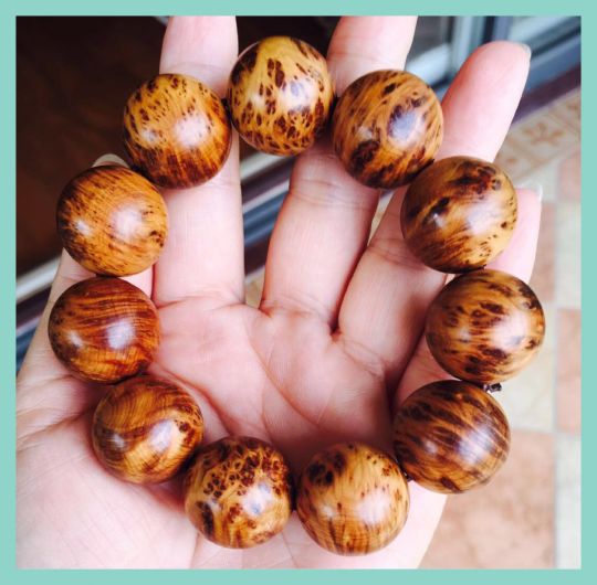 火狐电竞官方网站