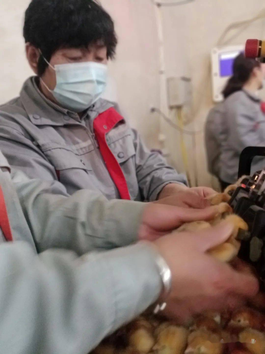 火狐电竞官网-
河牧牧业祝愿您——元旦元旦之一切圆满(图8)