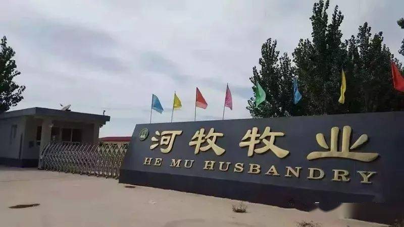 火狐电竞官网-
河牧牧业祝愿您——元旦元旦之一切圆满(图14)