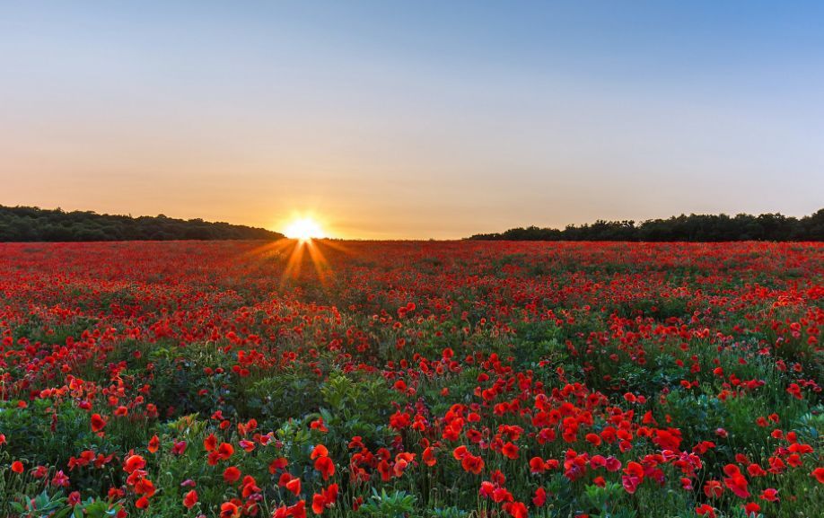 火狐电竞官方网站