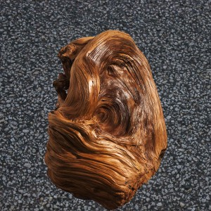 火狐电竞官方网站