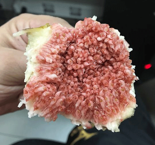 火狐电竞官方网站