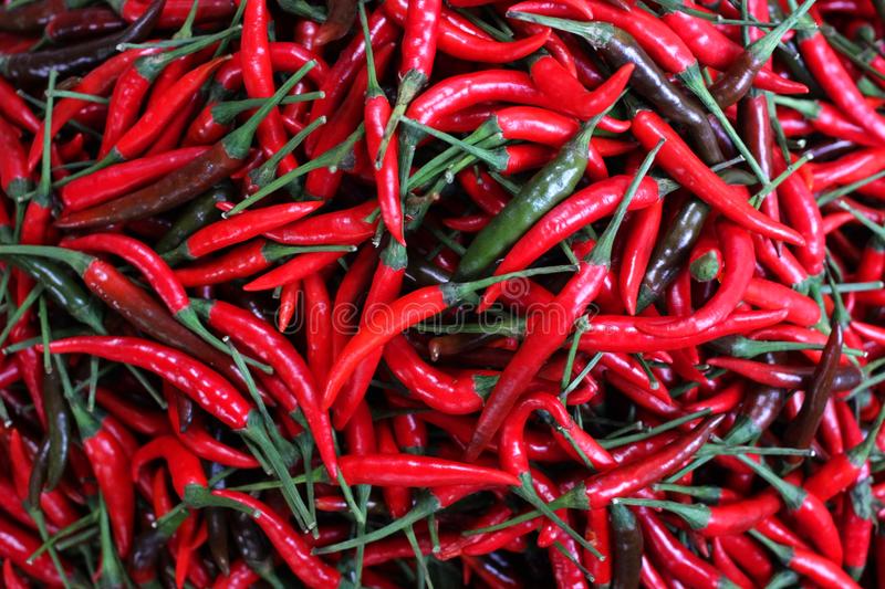 太空总署:像足球场巨细的平流层气球将搭载最先进的望远镜“火狐电竞官方网站”(图3) 火狐电竞官网