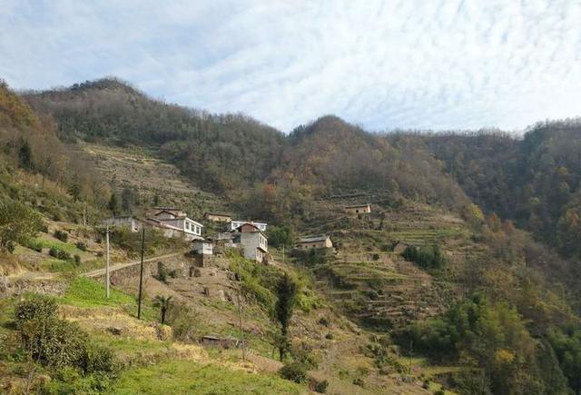 生不逢时 法国黄金一代团体迟暮!“火狐电竞官方网站”(图4) 火狐电竞