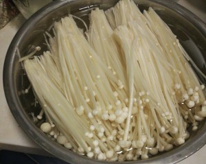 火狐电竞官方网站