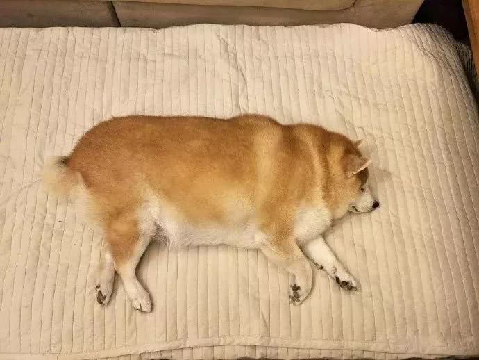 火狐电竞官网|
<h1>“传统文化进校园”:热潮里的冷思考(图3) 火狐电竞官网