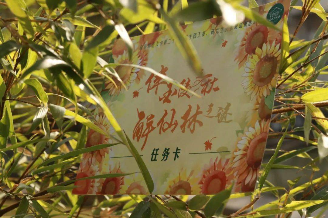 
素拓回首‘火狐电竞官方网站’(图2)