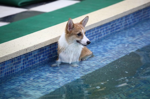 火狐电竞官方网站