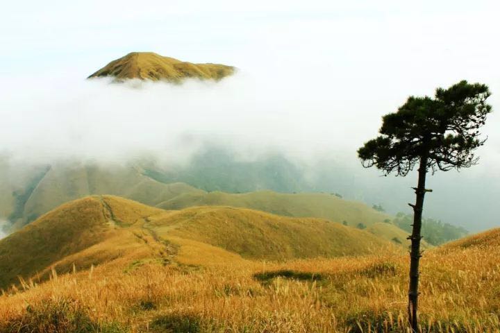 火狐电竞官网|布鲁诺·巴贝摄影中的“中国本色”(图1) 火狐电竞