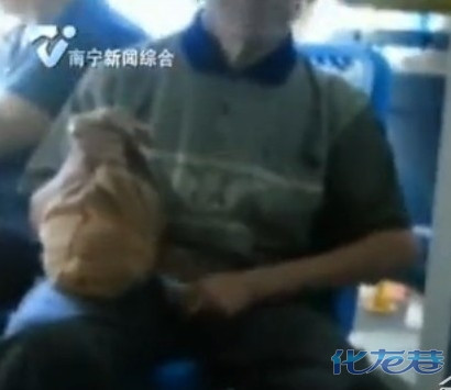 火狐电竞官方网站