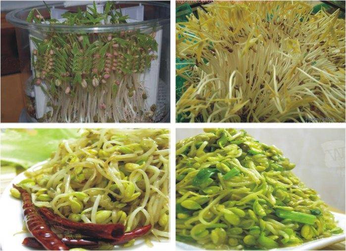 火狐电竞官网-德国足协杯:杜伊斯堡 VS 佩德伯恩(图2) 火狐电竞官方网站