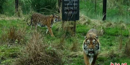 火狐电竞官方网站