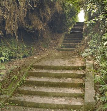 火狐电竞官方网站