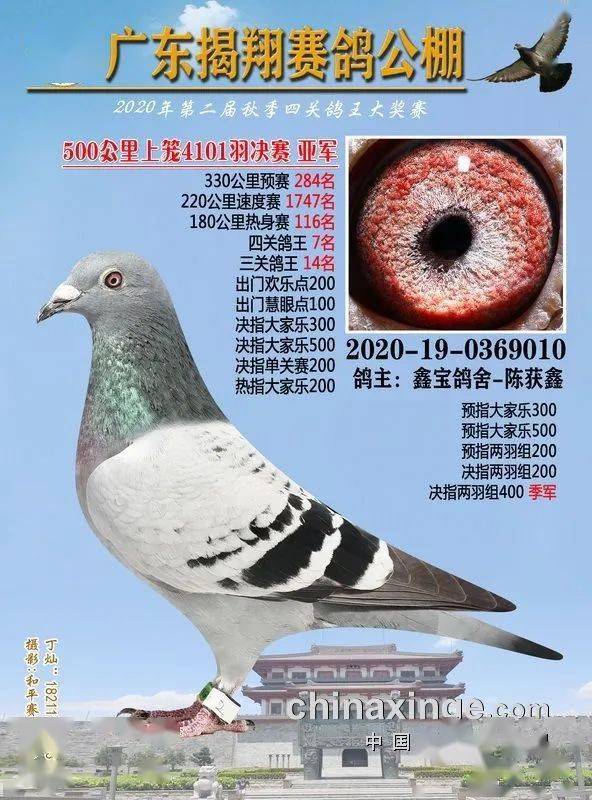 火狐电竞官网_
正在直播：广东揭翔获奖鸽同步拍卖(图7)