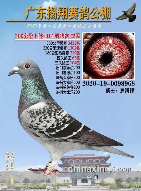 火狐电竞官网_
正在直播：广东揭翔获奖鸽同步拍卖(图8)