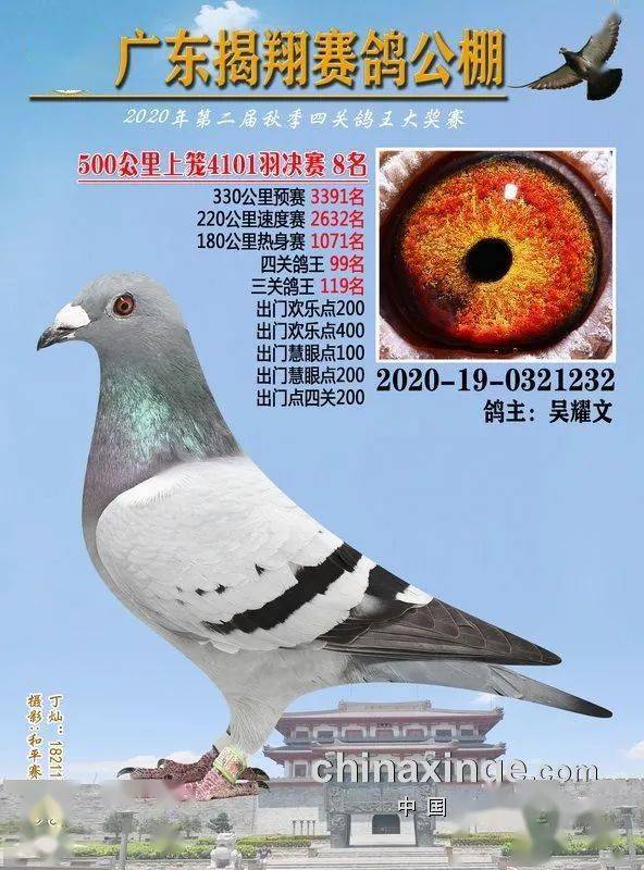 火狐电竞官网_
正在直播：广东揭翔获奖鸽同步拍卖(图14)