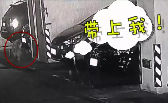 火狐电竞官方网站