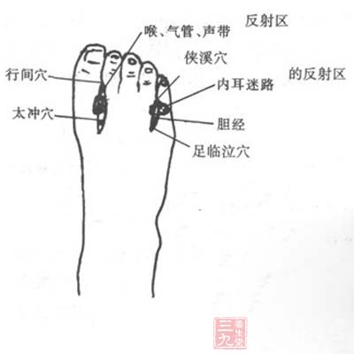 火狐电竞